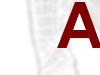 Anestesia Loco-Regionale [sezione di Anestit]